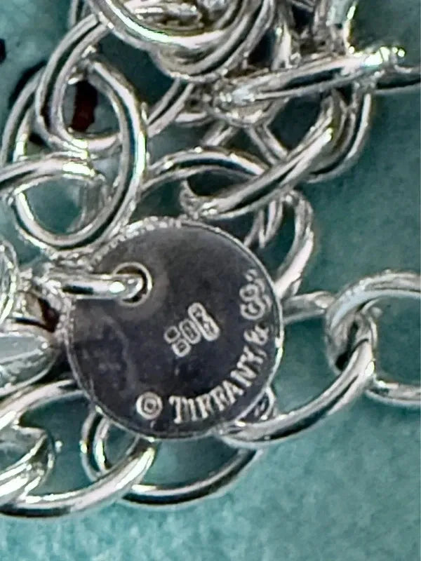 Tiffany & Co Sterling Silver Infinity Large Oval Link Necklace 17.5